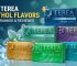 Best TEREA Stick's Menthol Flavors of 2026: Ranked & Reviewed