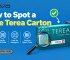 How to Spot a Fake Terea Carton in the UAE